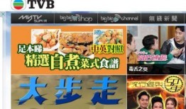 香港翡翠台直播在线观看,实时观看精彩节目，尽享视听盛宴