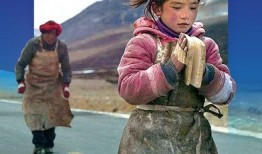 3午夜影院在线观看,在线观影新体验，尽享深夜电影盛宴