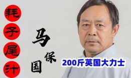 马保国被爆料视频播放,一场关于武术与真相的较量