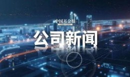 国内资本最新爆料