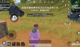 吃鸡最新爆料1月2日,揭秘游戏新玩法与更新内容