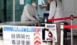 台湾爆料本土案例最新,揭秘最新案例背后的真相