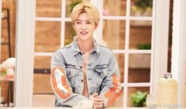 追星娱乐吃瓜酱