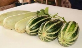 晨曦网红吃瓜链接,真相与争议并存