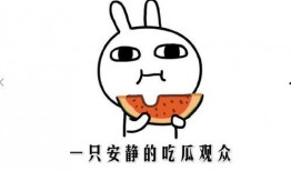 抖音网红吃瓜在线,揭秘娱乐圈幕后真相！