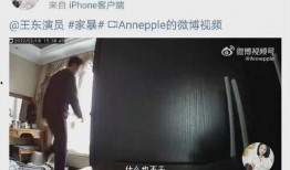 演员爆料家暴视频,视频曝光家庭暴力残酷现实