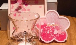 可爱的杯子爆料视频,爆笑视频背后的温馨故事