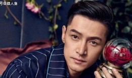 谢娜胡歌最新爆料,揭秘娱乐圈幕后故事