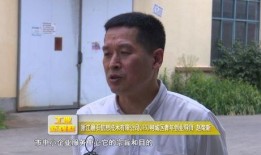 王庄爆料二虎是谁呀最新消息,二虎最新动向揭秘，热点事件追踪