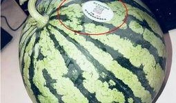 网红的吃瓜网站,娱乐圈幕后真相大曝光