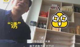 传销大师爆料视频大全下载,揭秘传销内幕与骗局真相