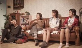 高龄化家族在线观看,线上共赏夕阳红的温馨故事