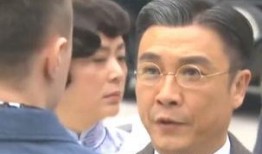 新窦娥冤传奇在线观看,悲情再现，正义重生