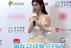 小黑粉最新爆料,揭秘娱乐圈惊人内幕