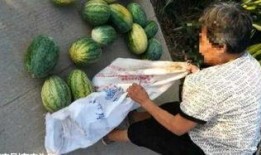 吃瓜最新事件爆料柯桥,吃瓜群众揭秘最新事件内幕