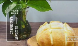 爆料奶昔怎么做视频教程,简单易学视频教程