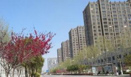 新沂房产爆料最新消息