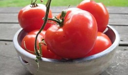 番茄免费小说吃瓜系统文,吃瓜系统文，带你领略另类趣味