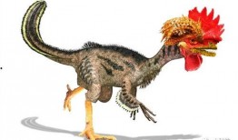 吃鸡小恐龙爆料视频大全,揭秘游戏幕后精彩瞬间