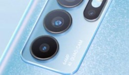 赤犬最新爆料视频下载