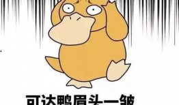 圈内八卦爆料吃瓜小绵羊,小绵羊吃瓜背后的惊人真相