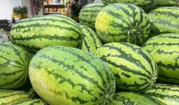 晨曦网红吃瓜链接,真相与争议并存