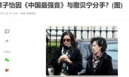 散磕圈内人爆料,独家揭秘娱乐圈不为人知的秘密