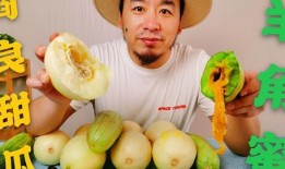 网红的吃瓜网站,娱乐圈幕后真相大曝光