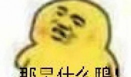 如何免费获得吃瓜表情包,轻松免费制作专属吃瓜表情包攻略