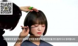 娱乐八卦爆料喵,喵星人的八卦风云录