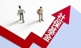 国内资本最新爆料