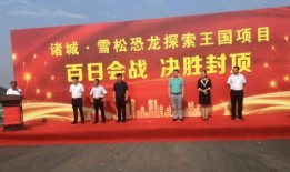 诸城最新爆料,揭秘背后惊人真相