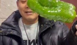 洛杉矶网红吃瓜事件,一场网络舆论的狂欢与反思