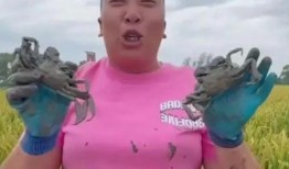 最新爆料东北雨姐,揭秘东北地区独特雨季现象背后的秘密