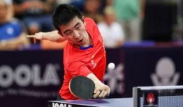 马特乒乓爆料视频大全集,揭秘乒乓球界的精彩瞬间与幕后故事