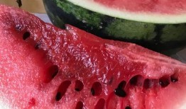 霸州最新的瓜爆料,揭秘背后惊人真相