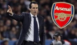 阿森纳埃梅里最新爆料,揭秘球队变革与未来展望