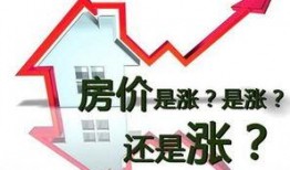 哈市房产爆料最新消息新闻,揭秘价格波动与政策影响