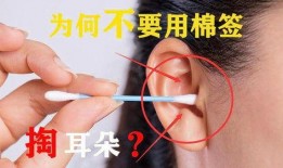 爆料制作棉签视频,一探究竟的科普视频