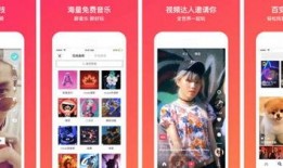 爱意爆料今日头条视频大全,今日头条热门视频大盘点