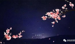 诸葛亮桃花爆料视频,视频爆料背后的历史真相