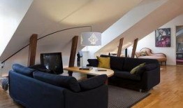 阁楼  在线观看,探索阁楼在线观看之旅