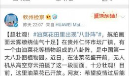 八卦博主爆料微博视频在线观看