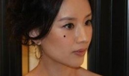 董洁娱乐爆料事件真相视频,揭秘真相背后的惊人内幕