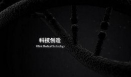 科技熊猫爆料视频,最新爆料视频深度解析