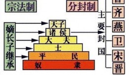 千代爆料植物人视频