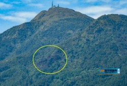 桂平山火灾最新爆料