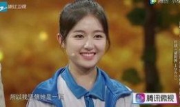 任然爆料霍华德视频播放,真相与争议