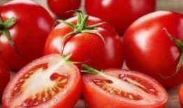 番茄免费小说吃瓜系统文,吃瓜系统文，带你领略另类趣味