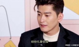 张翰姐弟爆料视频大全下载,揭秘娱乐圈不为人知的一面